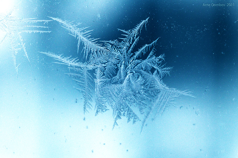 Illustration for article titled Shooting Challenge: Ice, Gallery 2
